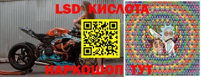 гашик Кандалакша